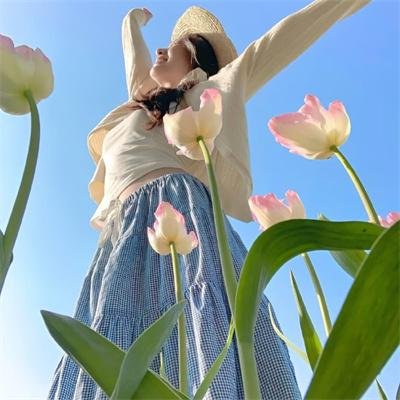 七龙珠：全新进化