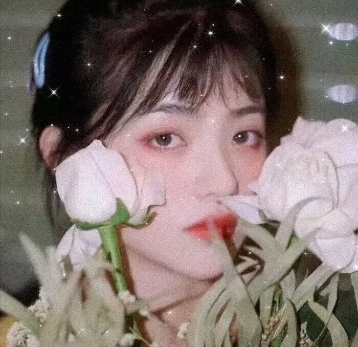 大唐小吃货